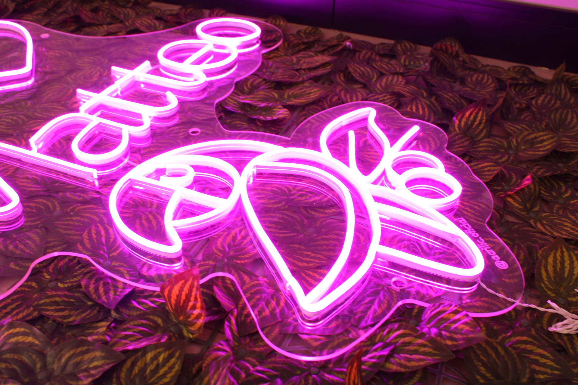 Letreiro neon rosa em acrílico transparente