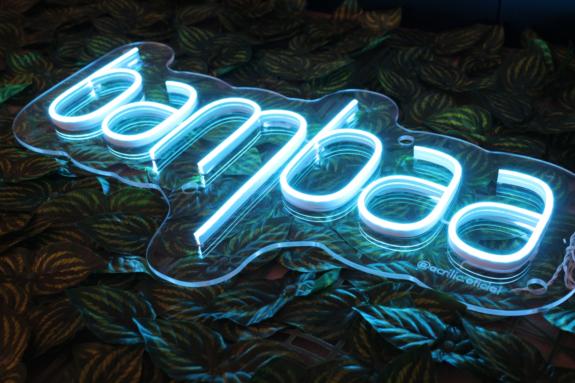 Neon personalizado bambaa em acrílico